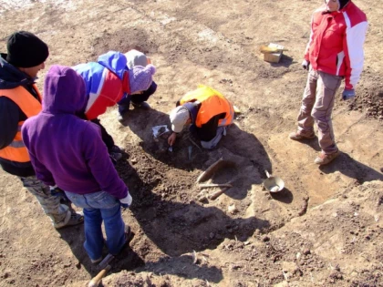 Complexul Muzeal Arad, partener în proiectul ”Human health and migration in Prehistory”