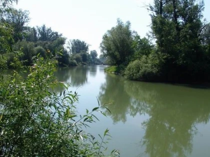 Consiliul Județean cere Apelor Române îndiguirea sau regularizarea Crișului Alb, între Dieci și Revetiș