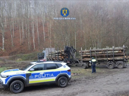 Controale ample în județul Arad, la firme din domeniul silvic