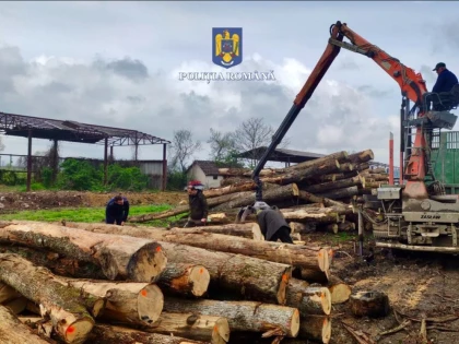 Controale în județul Arad, la firmele din domeniul silvic. S-au confiscat sute de metri cubi de material lemnos