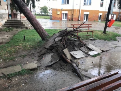 Copaci rupți, autoturisme avariate, trafic îngreunat, în urma furtunii din județul Arad