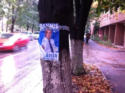 COPACII DIN MUNICIPIU AU FOST MURDARITI CU AFISELE LUI IOHANNIS