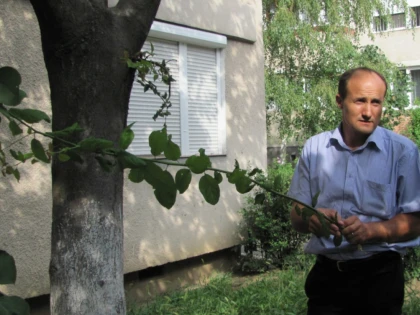 COPACUL CU ZECE SOIURI DE FRUCTE, RODUL PASIUNII UNUI ORĂDEAN