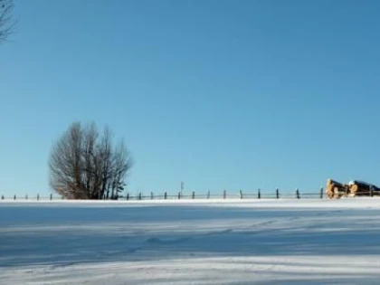 COVASNA:MINUS 31,7 GRADE LA INTORSATURA BUZAULUI IN NOAPTEA DE REVELION