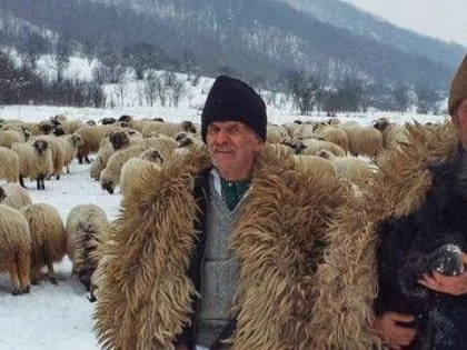 CRESCĂTORII DE ANIMALE IAU ÎN CALCUL RELUAREA PROTESTELOR