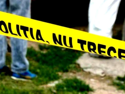Crimă la Șepreuș! Și-a lovit fratele vitreg cu parul până l-a omorât
