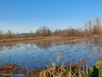 Crişul Alba inundat circa 330 de hectare de terenuri agricole, în Almaș și Dieci