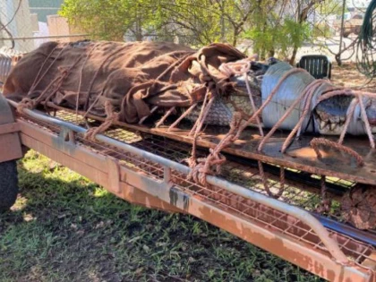 Crocodil de peste 4 metri lungime, capturat într-o zonă turistică populară din Australia