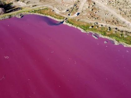 Cum a devenit un lac din Patagonia roz peste noapte
