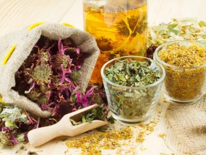 Cum se conservă corect plantele medicinale