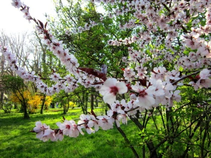Cum va fi vremea de Paște: Prognoza meteo 27 martie - 24 aprilie 2023