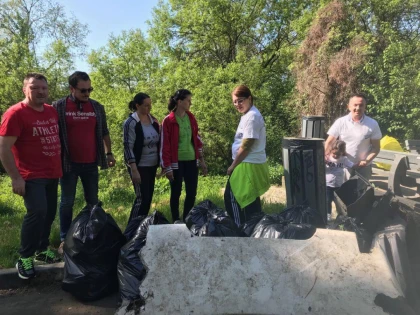 ”Curat la parcat”. Deșeuri colectate de voluntarii RO100Arad