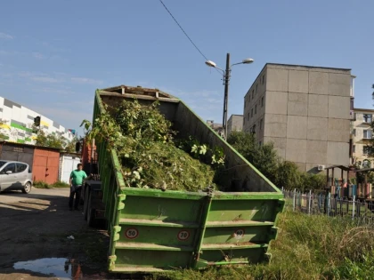 CURATENIA DE TOAMNA CONTINUA PANA LA SFARSITUL LUNII OCTOMBRIE