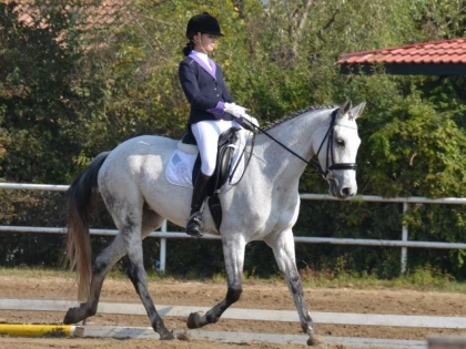 DARIA PALICIUC A CASTIGAT CUPA ROMANIEI LA DRESAJ HIPIC