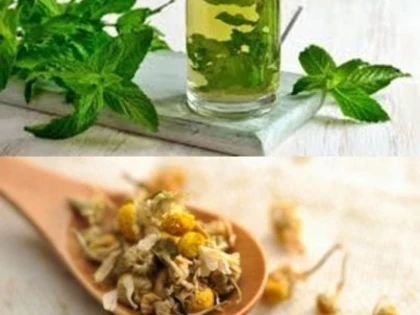 De ce menta îţi dă o senzaţie de răcoare?