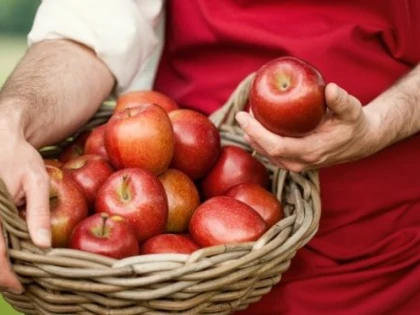 De ce recomandă nutriționiștii cura cu mere