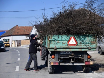 De luni se colectează crengile, la Pecica