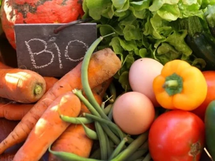 Descoperă gustul naturii: Beneficiile uimitoare ale produselor agricole locale