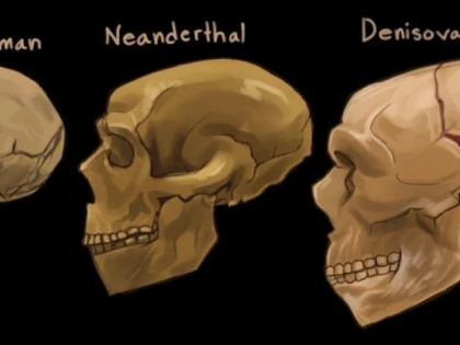 Descoperire crucială despre o specie umană misterioasă care a trăit în urmă cu peste 100.000 de ani