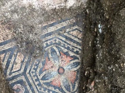 Descoperire impresionantă făcută sub o vie din Italia