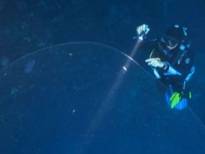 DESCOPERIRE IMPRESIONANTA IN ADANCURI. O SFERA GELATINOASA DE MARIMEA UNUI ELEFANT I-A UIMIT PE SCUFUNDATORI