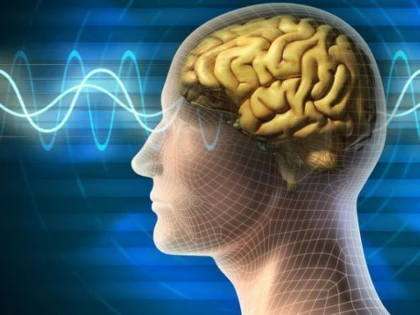 DESCOPERIREA CARE DESCHIDE CALEA CATRE UN TRATAMENT EFICIENT PENTRU ALZHEIMER