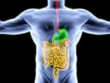 DETOXIFIEREA SISTEMULUI DIGESTIV