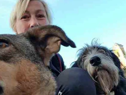 Din Olanda până în Arad! Marș de 1638 Km pentru animalele care suferă