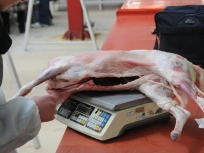 DIRECTIA SANITARA VETERINARA ARAD VA INTENSIFICA CONTROALELE IN AJUNUL SARBATORILOR PASCALE