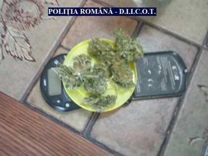 Doi arădeni au fost prinși în timp ce vindeau cannabis la Zărand