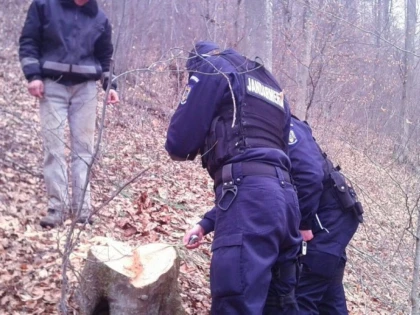 Doi bărbați din Căpîlnaș au fost prinși la furat de lemne în Birchiș