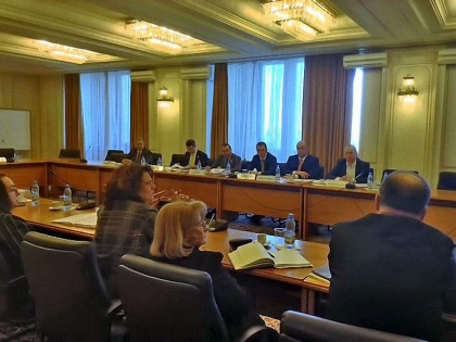 DOREL CAPRAR: "COMISIA DE AFACERI EUROPENE SUSTINE INSTITUIREA UNUI FOND EUROPEAN PENTRU INVESTITII STRATEGICE"