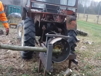 Dosar penal pentru că a tăiat ilegal 18 arbori