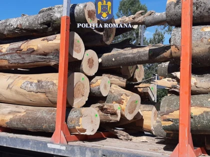 Dosare penale în urma unui control la un ocol silvic și operatori economici din județul Arad