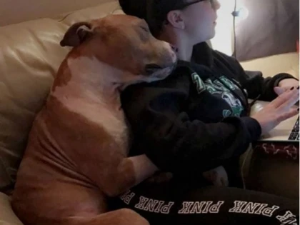 Dragostea unui pitbull față de stăpâna lui care l-a salvat de pe stradă face înconjurul lumii