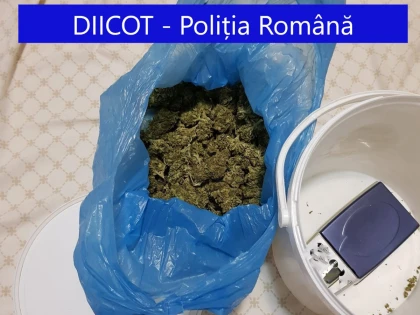 Droguri, bancnote false, bijuterii de lux, dar și sume uriașe de bani găsite la persoane bănuite de trafic de droguri