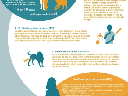 DSP Arad: 28 septembrie - Ziua mondială de luptă împotriva Rabiei