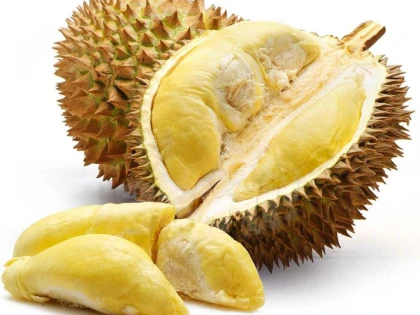 DURIANUL FRUCTUL REGILOR