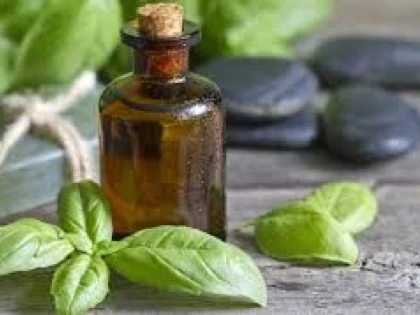 EFECTELE TERAPEUTICE  ALE ULEIULUI DE BUSUIOC