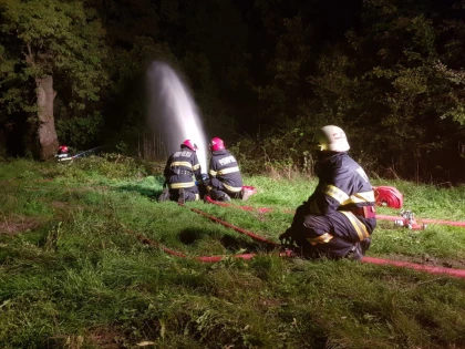 Exercițiu la Ceala: a luat foc pădurea
