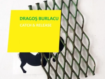 Expoziția "Catch and Release" semnată Dragoș Burlacu, la Complexul Muzeal Arad