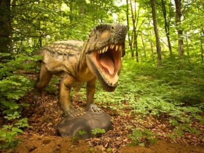 EXPOZIȚIE DE ROCI ȘI FOSILE UNICĂ ÎN ROMÂNIA, LA RÂȘNOV