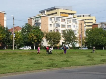 FALCA INCEARCA SA ARUNCE GOSPODARIREA COMUNALA IN CURTEA PSD