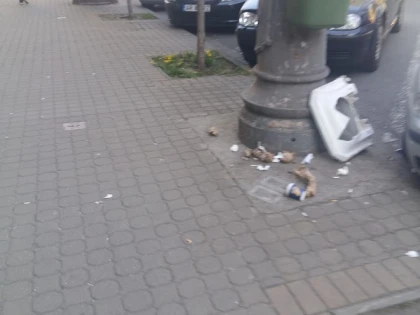Falcă îngroapă Aradul în gunoaie. Primăria nu mai are contract de salubrizare (FOTO)