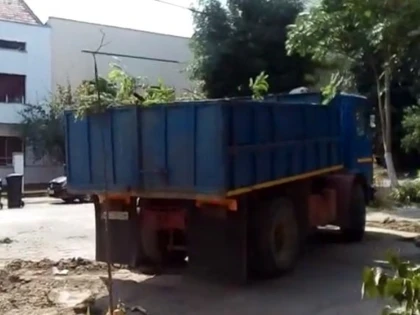Falcă vrea titlul de Capitală Verde, dar smulge copaci şi betonează