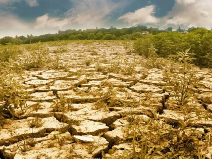 Fermierii arădeni se plâng de cea mai gravă secetă din ultimii 25 de ani şi cer sisteme de irigaţii