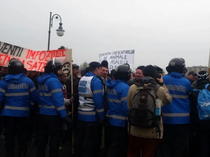 FERMIERII, NEMULTUMITI DE INTARZIEREA PLATII SUBVENTIILOR,  PROTESTEAZA IN CAPITALA