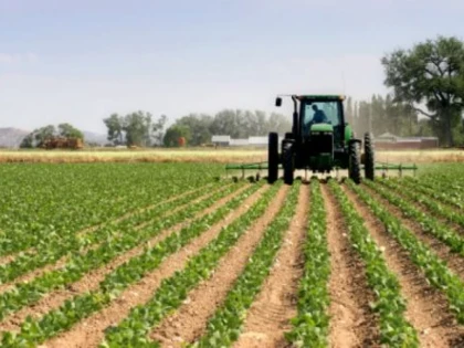 Fermierii reduc lucrările agricole din cauza costurilor. Până la 30% din terenuri riscă să rămână nelucrate