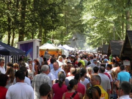 ”FESTIVALUL CLĂTITELOR” DE LA MONEASA, LA A XVI-A EDIȚIE