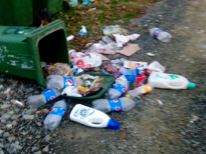 Focar la Miniş. Gunoiul nu este ridicat de două săptămâni (FOTO)
